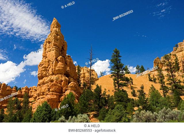 rock formations of Red Canyon and blue cloudy sky, USA, Utah, Red Canyon, Dixie National Forest