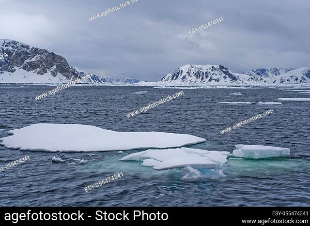 Drift floating Ice and Snowcapped Mountains, Albert I Land, Arctic, Spitsbergen, Svalbard, Norway, Europe