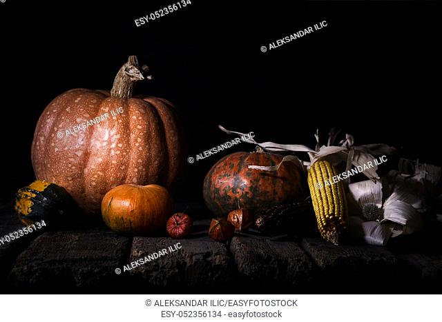 Autumn Pumpkins and Corn On a Rustic Wooden Surface. Thanksgiving Day Concept