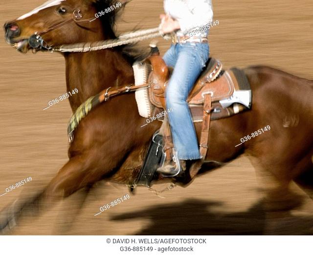 Cowboys on horses at the Tucson Rodeo in Tucson, Arizona, United States