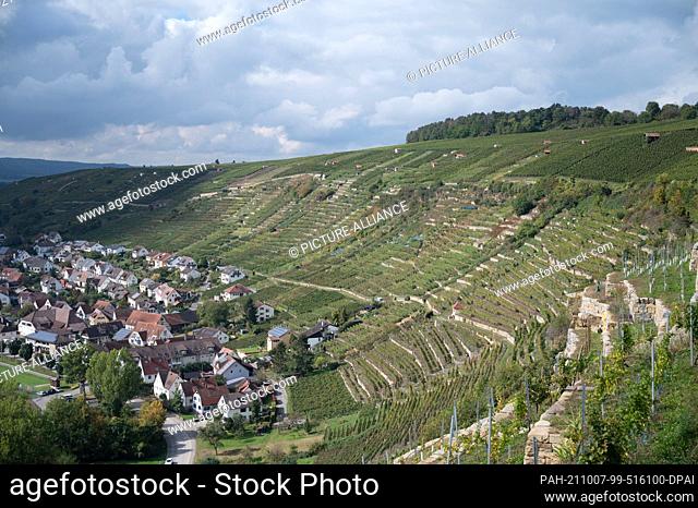 07 October 2021, Baden-Wuerttemberg, Vaihingen an der Enz: Terraced vineyards in steep slopes can be seen above the village of Roßwag