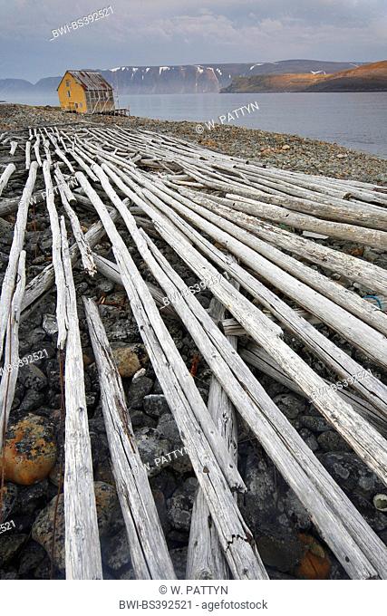 collapsed wooden construction for drying fish, Norway