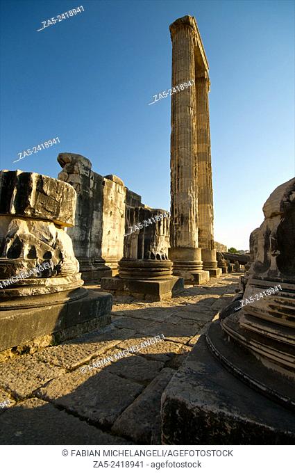 Standing columns in the Peristasis of The Apollo Temple of Didyma (Didymaion) 10th C. BC-4th C. BC, destroyed by Darius I of Persia in 494 BC and reconstructed...