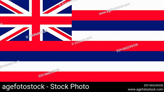 Official Large Flat Flag of Hawaii Horizontal
