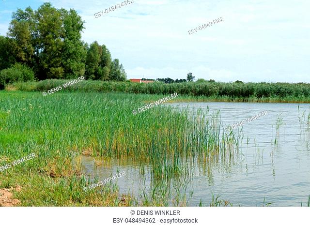 the backwater also known as aft water in the seaside resort of Zempin on the island of Usedom on the Baltic Sea