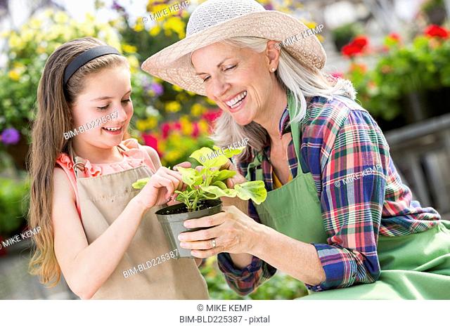 Caucasian grandmother and granddaughter holding potted plant in greenhouse