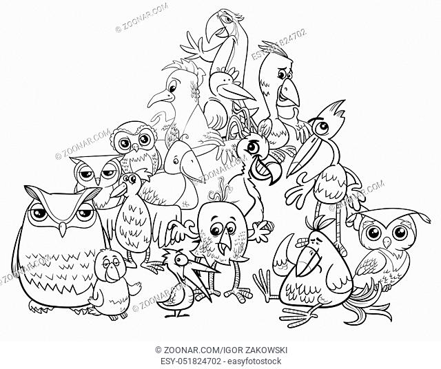 Black and White Cartoon Illustration of Birds Animal Characters Group Coloring Book