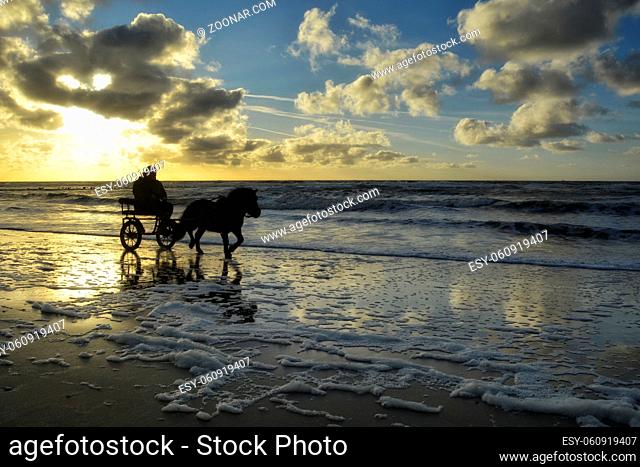 Eine Pferdekutsche bei Sonnenuntergang am Strand von Texel