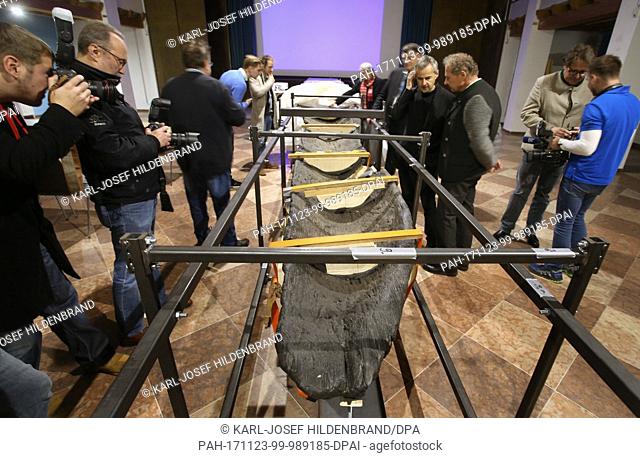 A partially unveiled, about 3000 years old Celtic longboat made out of oak, on display in the Ettal Monastery in Ettal, Germany, 23 November 2017