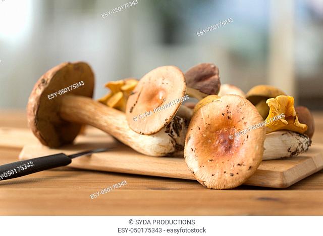 edible mushrooms on wooden cutting board and knife