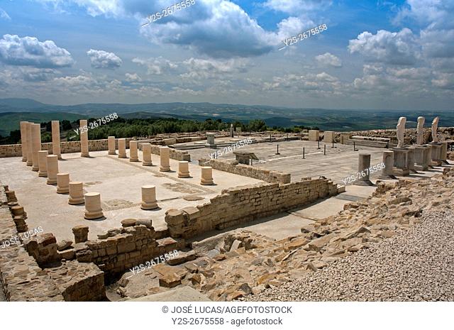Torreparedones, iberian-roman archaeological park, Basilica and Forum-1st century, Baena, Cordoba province, region of Andalusia, Spain, Europe