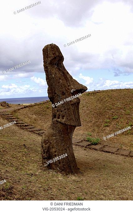 A Moai on the slope of Rano Raraku in Easter Island. Rano Raraku is a volcanic crater which was uses as a quarry to gather the volcanic stone used to construct...