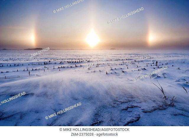 Arctic air and wind driven snow and ice create vivid sun dogs and haloing over western Iowa