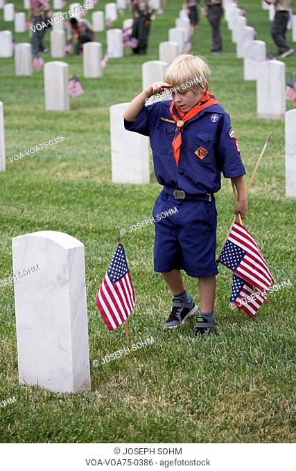Cubscout salutes after placing one of 85, 000 US Flags at 2014 Memorial Day Event, Los Angeles National Cemetery, California, USA