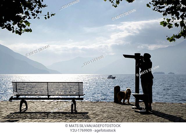 Woman with her dog close to a bench watching with a telescope over a lake with mountain and islands