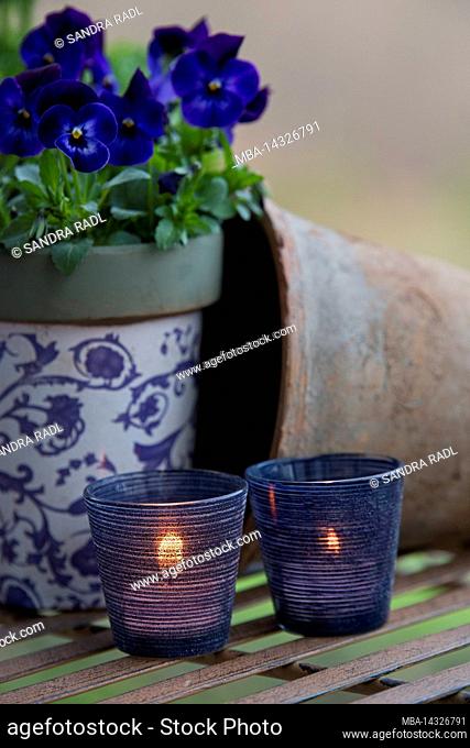 Still life, blue blooming horned violets and burning candles in lanterns, atmospheric decoration in violet and blue tones