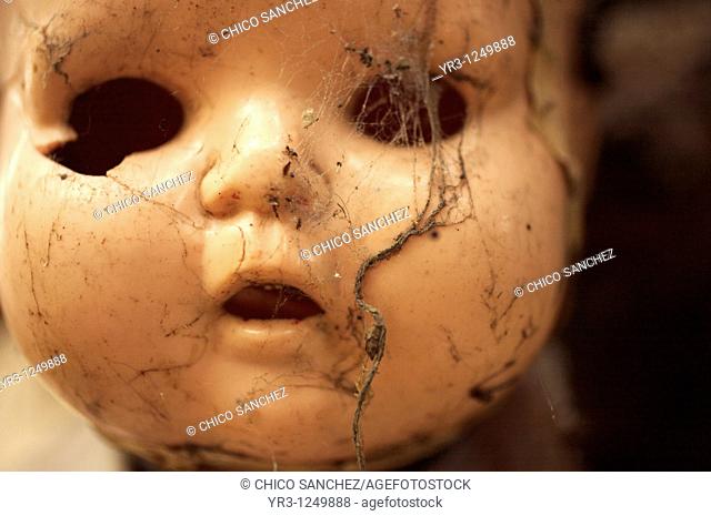 A doll covered with spider web hangs on a tree on the Island of the Dolls in Xochimilco, southern Mexico City. The late Don Julian turned his 'chinampa