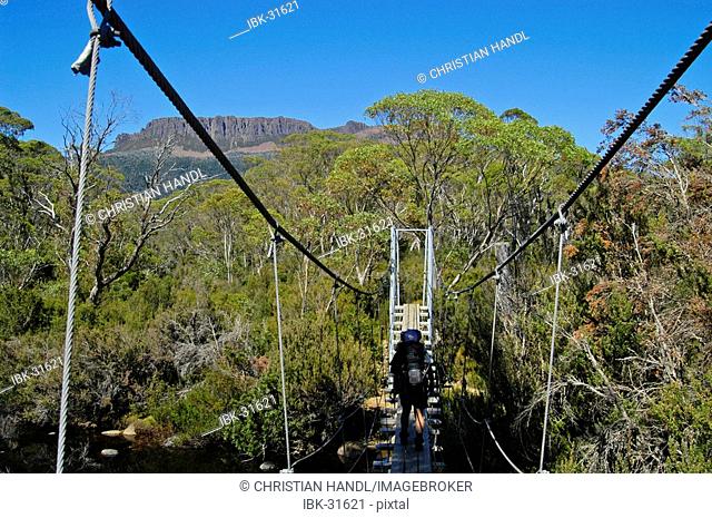 Rope bridge crossing Narcissus River on Overland Track in Cradle Mountain Lake St Clair Nationalpark Tasmania Australia