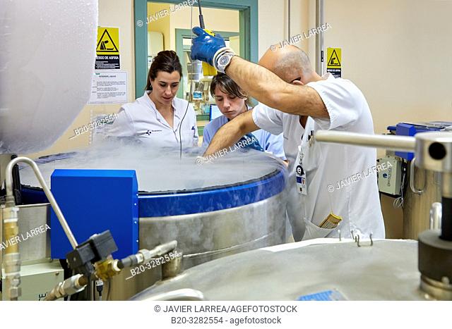 Blood samples in liquid nitrogen, Aphaeresis, Hematology, Hospital Donostia, San Sebastian, Gipuzkoa, Basque Country, Spain