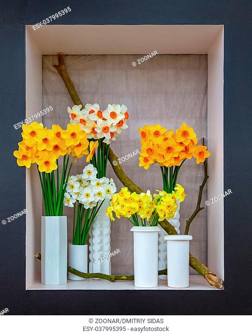 Colored bouquets of narcissuses in white vases