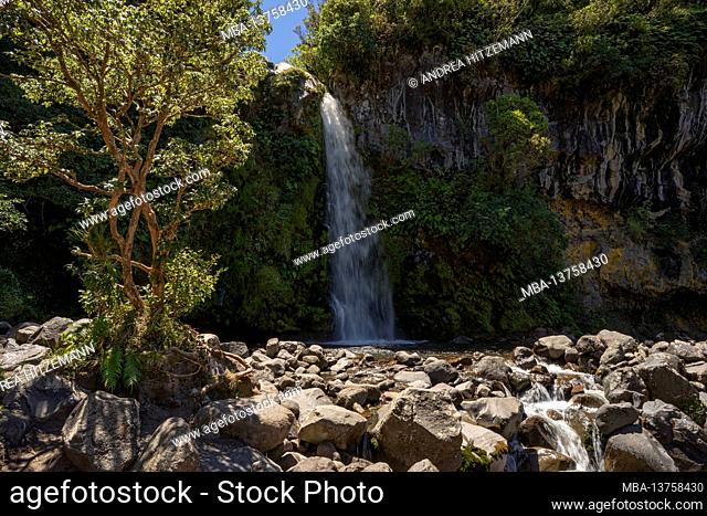 Dawson Falls, waterfalls on Mount Taranaki, New Plymouth Province, North Island, New Zealand