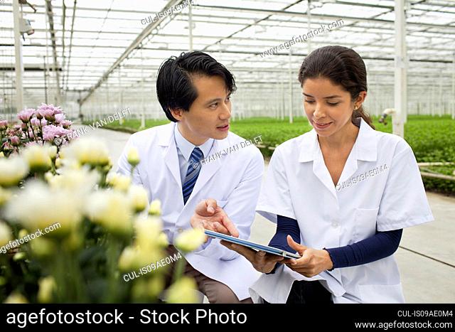 Man and woman with rows of plants growing in greenhouse