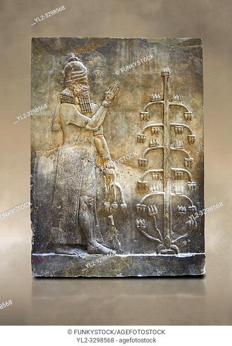 Stone relief sculptured panel of a Genie with poppy seed heads next ro the tree of life. Inv AO 19869 from Dur Sharrukin the palace of Assyrian king Sargon II...
