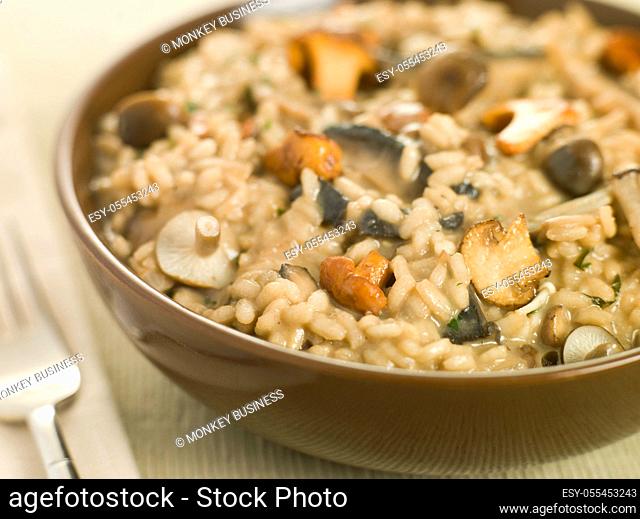 rice dish, risotto, mushroom dish, mushroom risotto