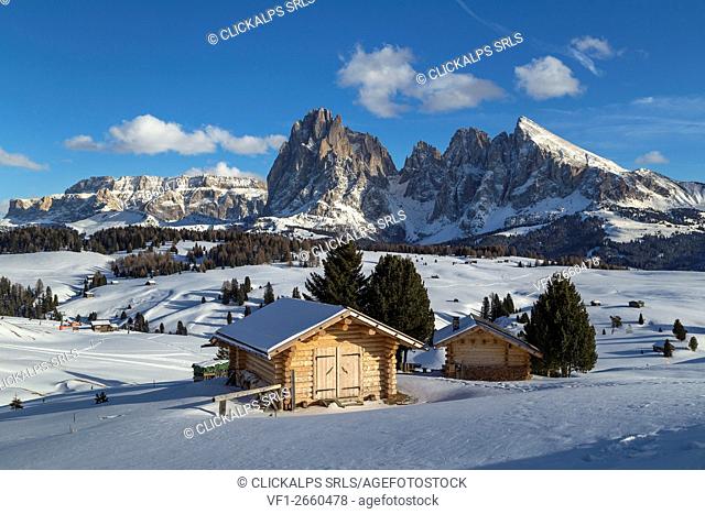 Alpe di Siusi/Seiser Alm, Dolomites, South Tyrol, Italy. Winter landscape on the Alpe di Siusi/Seiser Alm with the peaks of Sassolungo / Langkofel and...