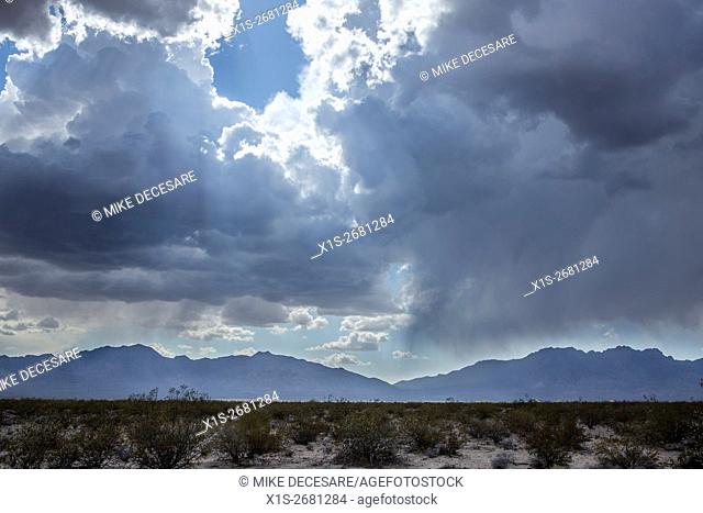 A rain storm gathers over the Mojave Desert