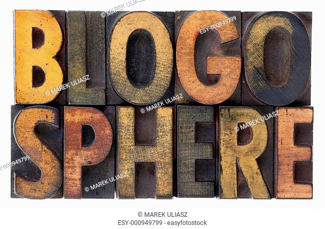 blogosphere - vintage wood letterpress types