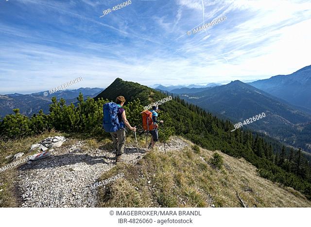 Hikers crossing the Blauberge mountains, crossing from Predigtstuhl via Blaubergschneid, Blaubergkopf and Karschneid to Halserspitz, Wildbad Kreuth