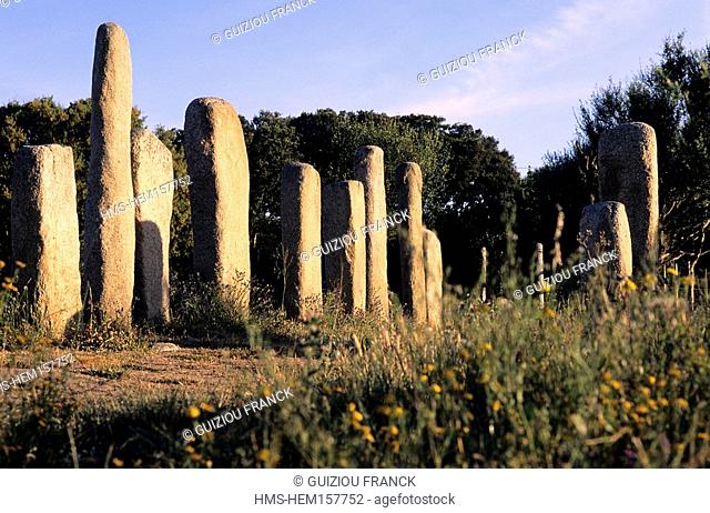 France, Corse du Sud, Sartenais region, site of Cauria, alignment of Stantari