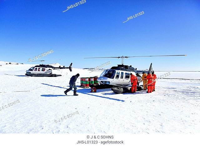 Trip to Harp Seals, Magdalen Islands, Gulf of St. Lawrence, Quebec, Canada, North America, helicopter prepars for flight to Harp Seals on pack ice