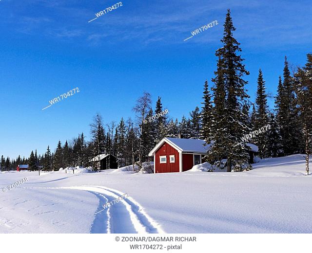 winter in lapland