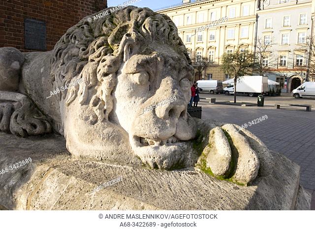 One of two lions outside the tower of the old town hall in Krakow, Poland. The lion made of limestone, is eroded by acid rain and other air pollutions