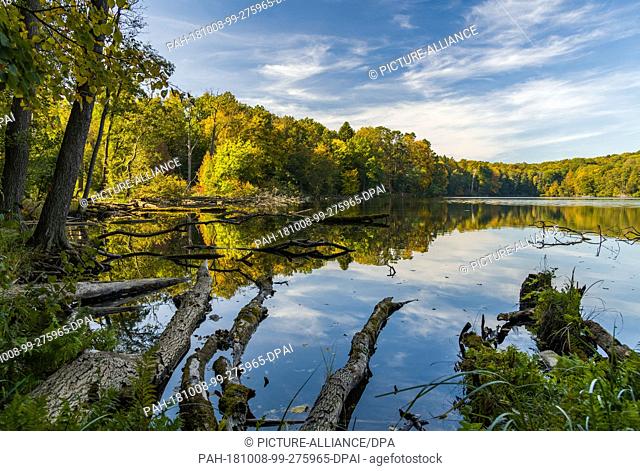 06 October 2018, Brandenburg, Pritzhagener Mühle: Autumnally colourful trees line the shores of the Great Tornow Lake, which lies in the Märkische Schweiz...
