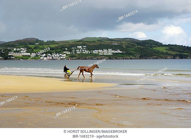 Trotter training with his horse on the sandy beach of Portsalon, County Donegal, Ireland, Europe