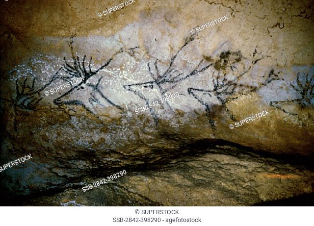 Stags Prehistoric Art Lascaux Caves, France