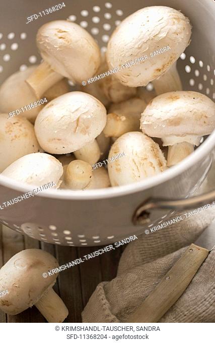 Fresh mushrooms in a colander (close-up)