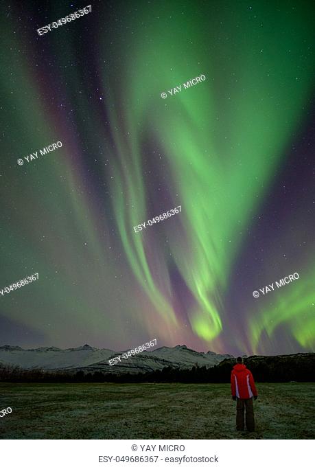 Person watching an awesome aurora over mountains covered with snow, in Iceland, in November 2017
