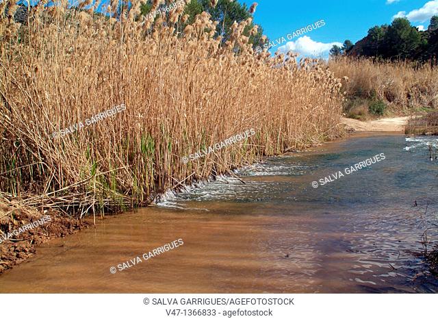 Rio Sellent, Sella, Chella, Canal de Navarres, Comunitat Valenciana, Valencia, Spain