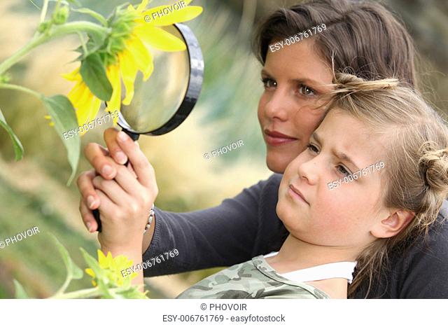 Mother and daughter examining sunflower