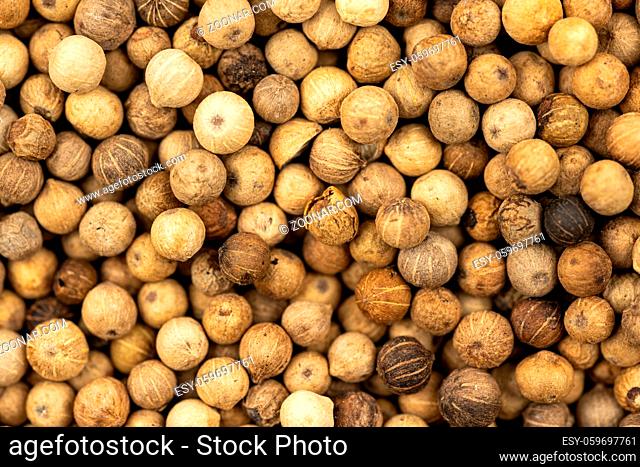 Spice background, Background made of many whole white peppercorns, close up, top view