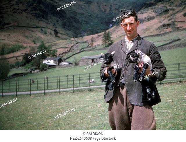 Lake District Sheep Farmer, c1960. Artist: CM Dixon