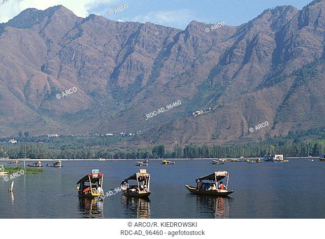 Rowing boats 'Shikara' on Dal lake Srinagar Kashmir India