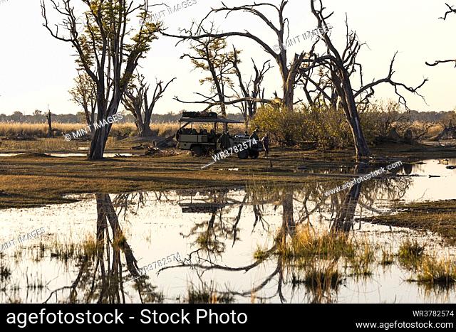 trees, reflection, Okavango Delta, Botswana