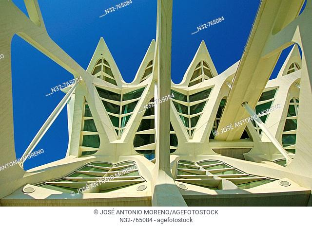 Príncipe Felipe museum of sciences, City of Arts and Sciences by S  Calatrava  Valencia, Comunidad Valenciana, Spain