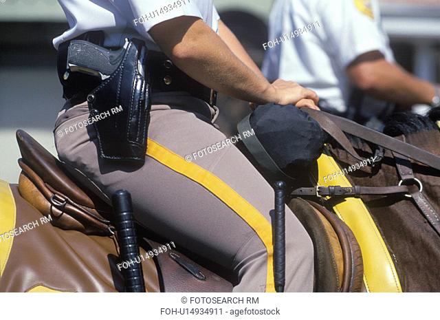 Close-up of mounted police