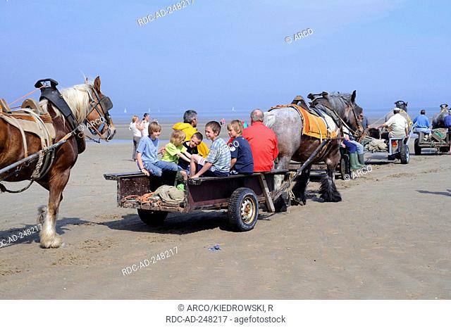 Children and fisherman with horse cart at beach Oostduinkerke Belgium shrimp fisher